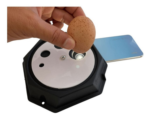 Imagem 8 de 8 de Chocadeira Eclopinto 35 Ovos, Digital, Viragem Automática.