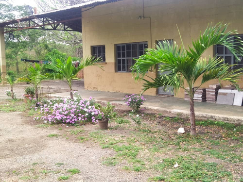 Imagen 2 de 14 de Finca En Yaracuy Municipio Bruzual Cumaripa