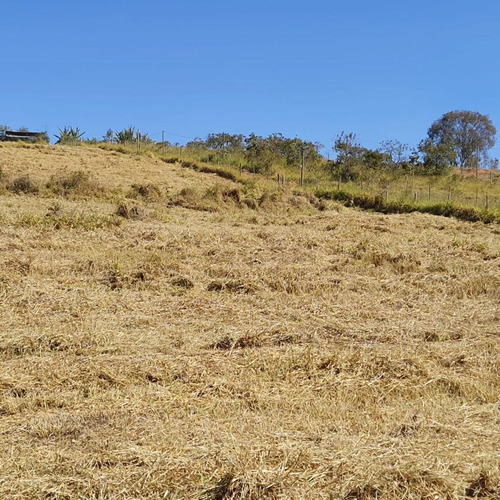 Imagem 12 de 12 de Lançamento Chácaras Em Itatiaiuçu