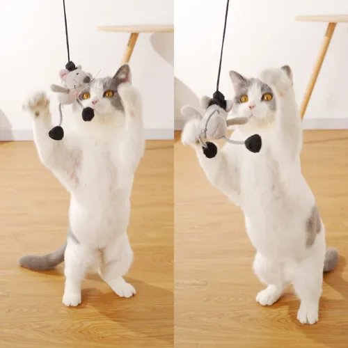 Varita Para Gatos, Regalo De Paz, Bonita Varita Interactiva