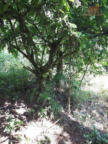 Imagem 12 de 16 de Chácara Residencial À Venda, Igrejinha, Itariri. - Ch0094