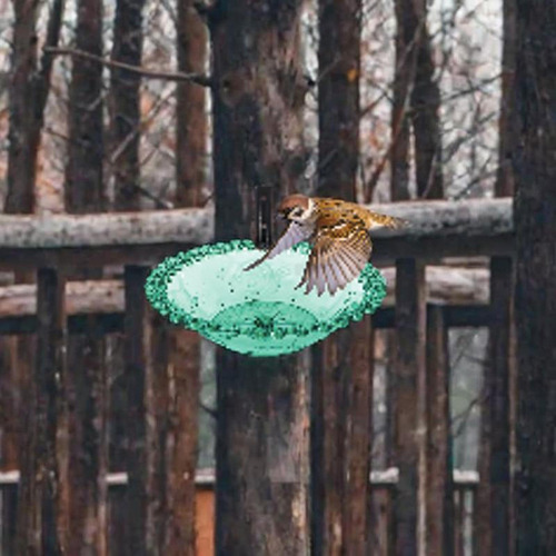 Alimentos De Pájaros Para El Baño De Pájaros Azul
