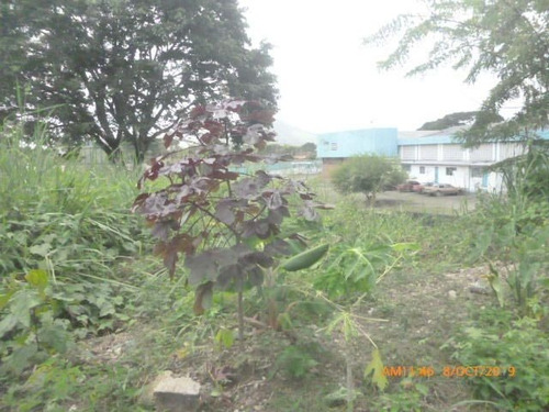 Imagen 6 de 10 de Terreno En Venta En Av. Acosta Carlez, San Juan De Los Morros. 22-19745