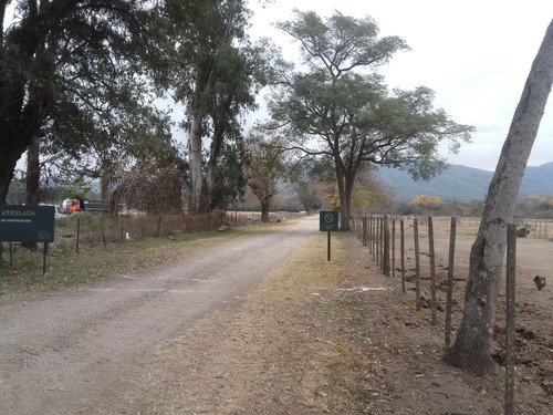 Imagen 9 de 10 de Terreno Venta La Arbolada San Lorenzo Chico 1000 M