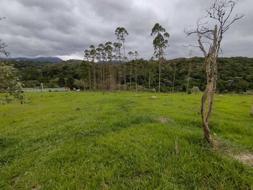 Imagem 7 de 10 de A30 Lote Com Arborização