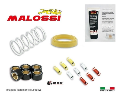 Nmax 160 Kit Rolete Molas Polia E Anel Antivibração  Malossi