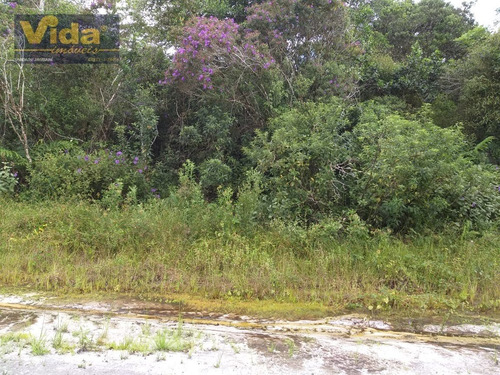 Imagem 2 de 3 de Terreno Em Jardim Anchieta - Itanhaém - 204371