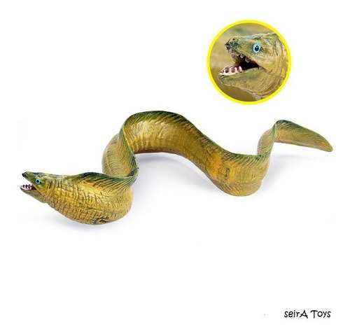 Animales Marinos. Anguila Morena. 22 Cms. Peces. Mar, Oceano