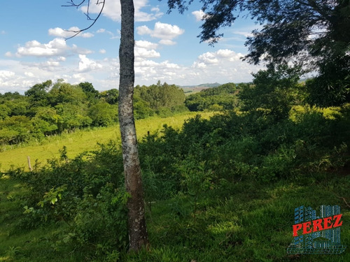Chácaras_sítios_fazendas Para Venda - 13650.5197