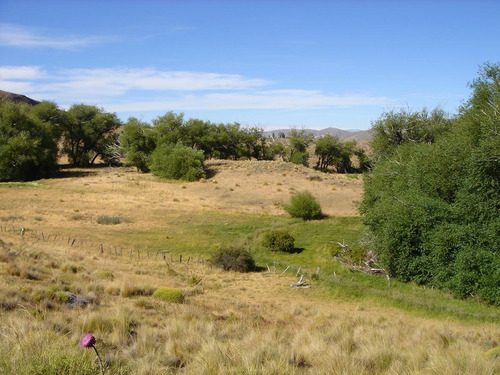 Imagen 25 de 30 de Campo En Venta Zona Alumine, Neuquén