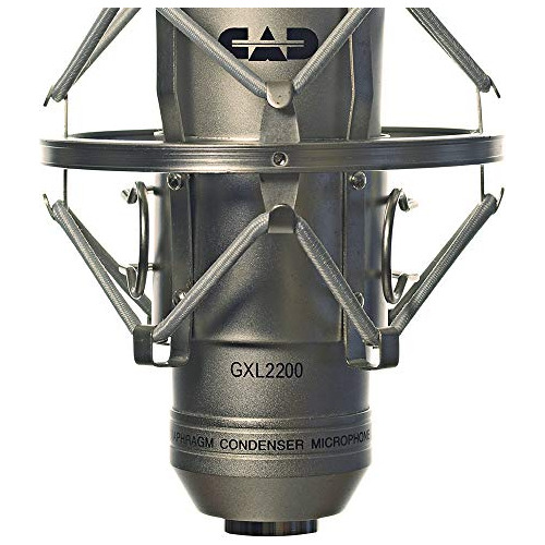 Gxl2200 Microfono Condensador Cardioide Diafragma Grande 7y