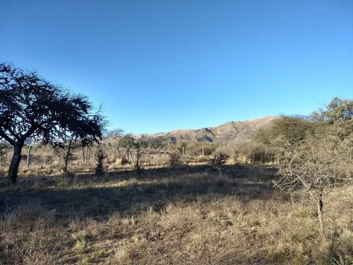 Imagen 12 de 30 de Terrenos En Las Sierras