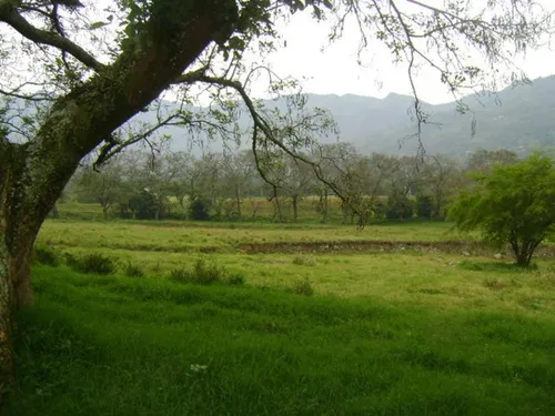 Lote En Venta En Copacabana