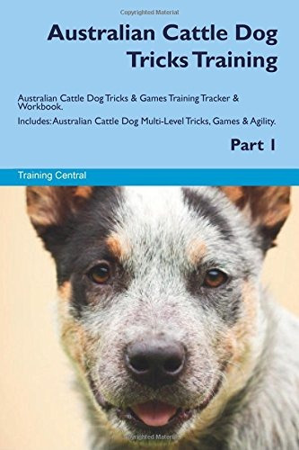 Australian Cattle Dog Tricks Training Australian Cattle Dog 