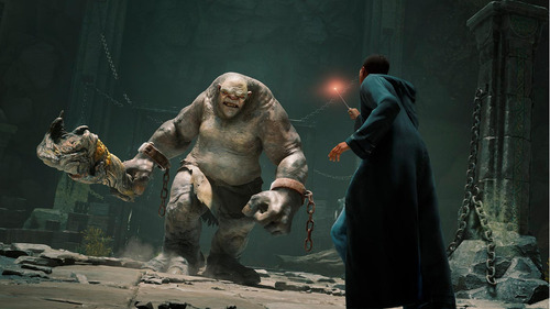 Imagen 8 de 9 de Hogwarts Legacy Standard Edition Warner Bros. PS5 Físico