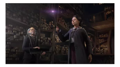 Hogwarts Legacy Ps4 Mídia Física - Novo - Lacrado