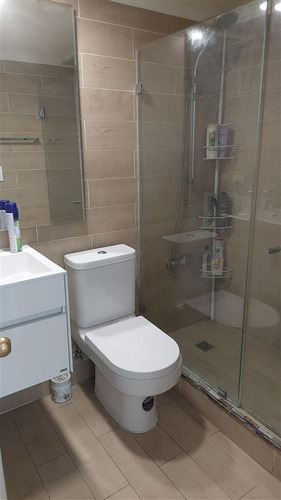 Departamento En Venta De 3 Dorm. En Providencia