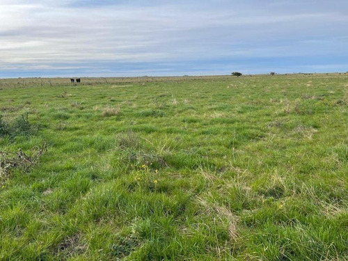 Imagen 8 de 19 de Campo En Venta !!! Gral Lavalle