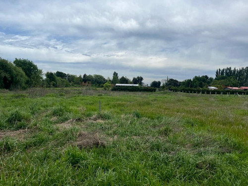 Se Vende Terreno 5000 M2, Cam. A Cantarrana, A 2 Km De L.a