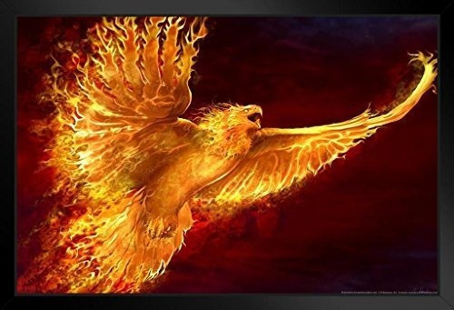 Phoenix Rising Tom Wood Fantasy Art Cartel Enmarcado En