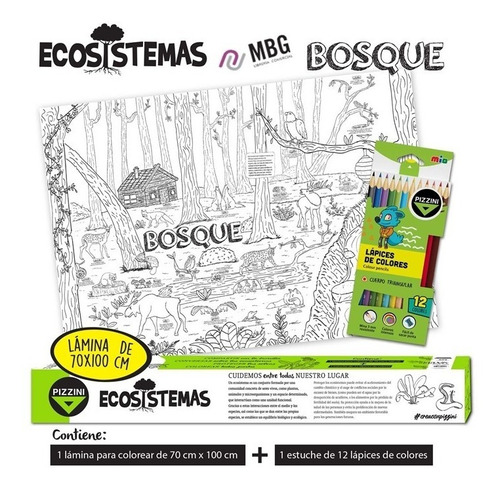 Imagen 1 de 2 de Lámina Pizzini Para Colorear Bosques 70x100 Cm + Lápices