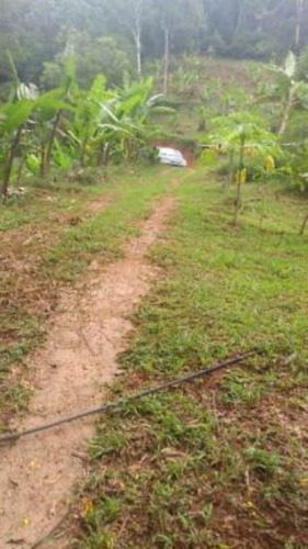 Imagem 12 de 17 de Chácara Com Riacho, Pomares De Arvores Frutíferas E Pés De Banana E Com Com 171.500 M² De Área Total, Em Miracatu Ref: 8564/ac
