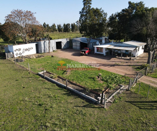 Imagen 3 de 21 de Chacra En Venta, 3 Has En Los Cerrillos, Casa Y Galones, Sobre Ruta!