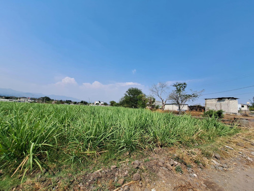 Terreno En Venta En Cocoyoc
