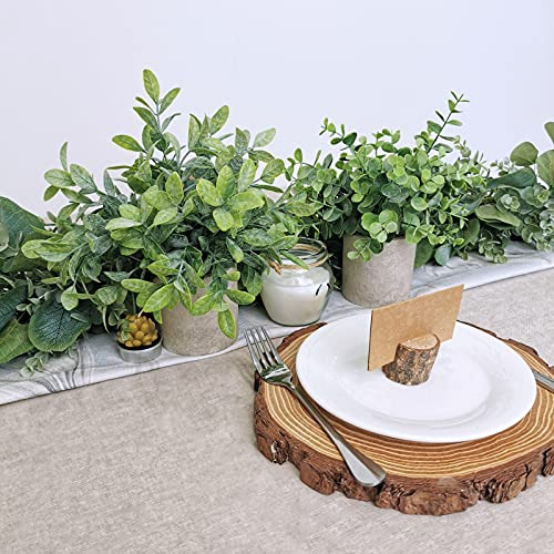 Conjunto De 2 Plantas En Macetas Artificiales De Eucalipto Y