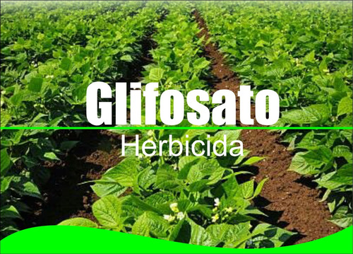 Glifosato Herbicida No Selectivo Sistemico