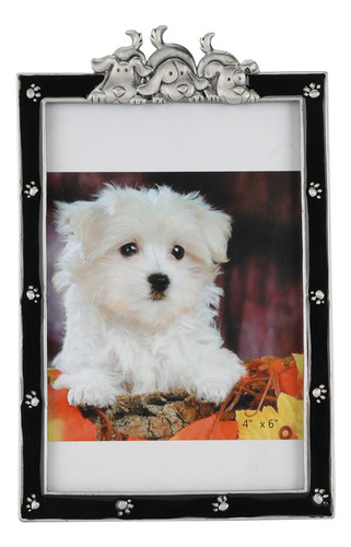 Marco De Fotos Para Mascotas, Imagen Conmemorativa, Retrato