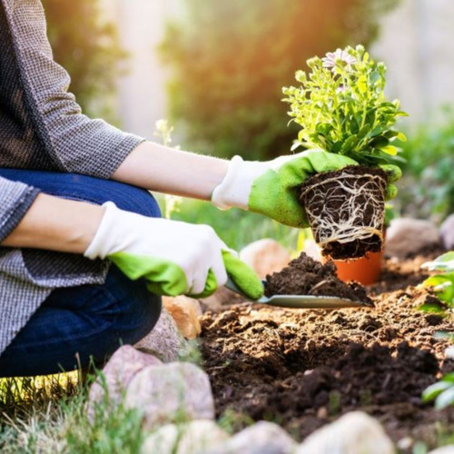 Curso De Jardinero Jardinería Botánica Agricultura Completo