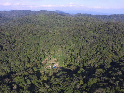 Imagem 6 de 10 de Fazenda Com 256 Alqueires Ideal Para Compensação Ambiental
