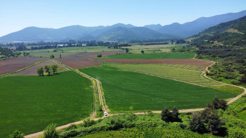 Codegua, Chimbarongo, Predio De 54,49 Has Ideal Par Cerezas