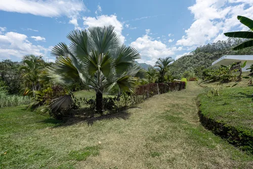 Casa Campestre En Venta En La Vega. Cod V1088054