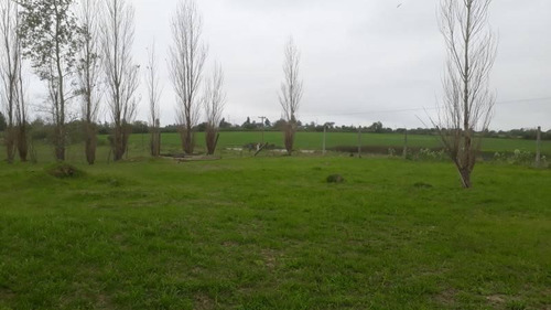 Imagen 17 de 30 de Se Vende Terreno De 15.700 M2, Con Dos Casas Y Base Para Galpon