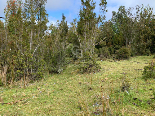 Cercana A RÃo, Orilla De Camino.