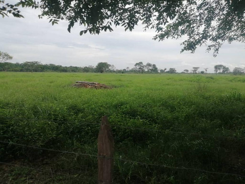 Imagen 5 de 17 de De Oportunidad Vendo Finca En El Cantón 283 Hectáreas Ah