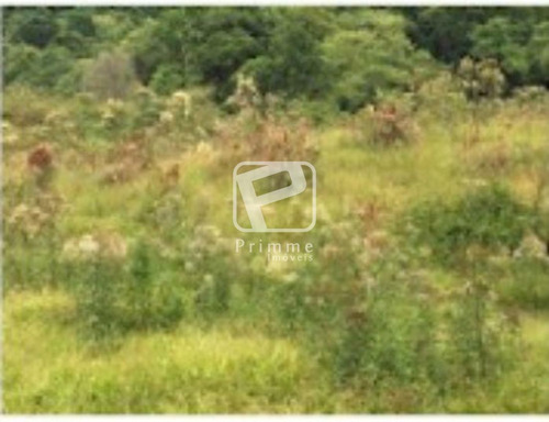 Imagem 3 de 4 de Terreno Industrial Em Timbo/sc - 4836