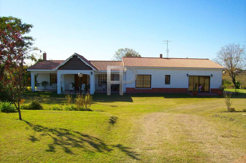 Imagen 1 de 7 de Chacra En Venta Chacras De Paysandu 3 Dorm, 3.7 Has #1639