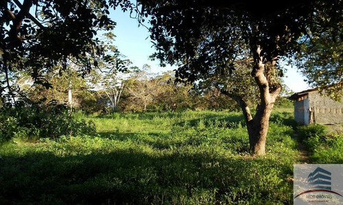 Imagem 22 de 30 de Lotes A Venda Novo Condomínio Horizontal Em Macaíba, Bosque