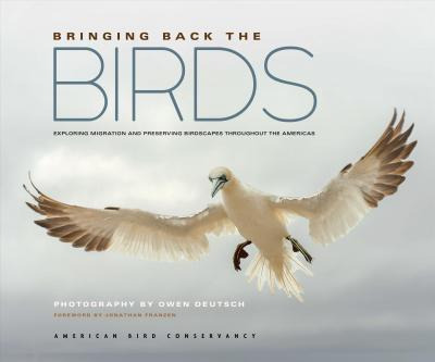 Bringing Back The Birds : Exploring Migration And Preserv...