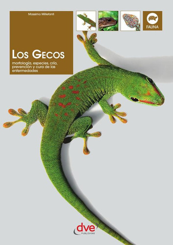 Los Gecos, De Massimo Millefanti