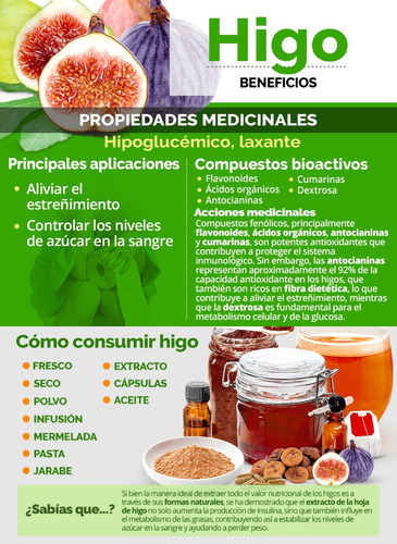 Extracto Hojas Higo Ficus Carica 100 Ml Plantasi