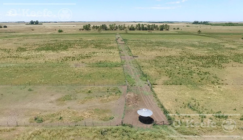 Imagen 2 de 15 de Punta Indio 100 Has Campo En Venta - Ideal Feed Lot - Oportunidad
