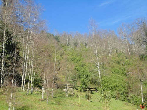 Parcela En Venta En Panguipulli
