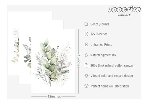 Juego De 3 Arte Botánico Para Pared De Acuarela, Lienzo Flor