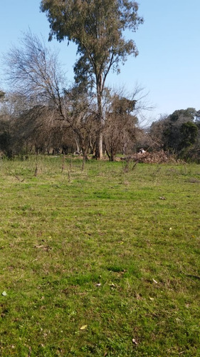 Imagen 8 de 8 de Lotes Privados Barrio Abierto En Canning