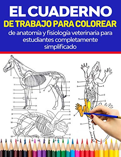El Cuaderno De Trabajo Para Colorear De Anatomia Y Fisiologi