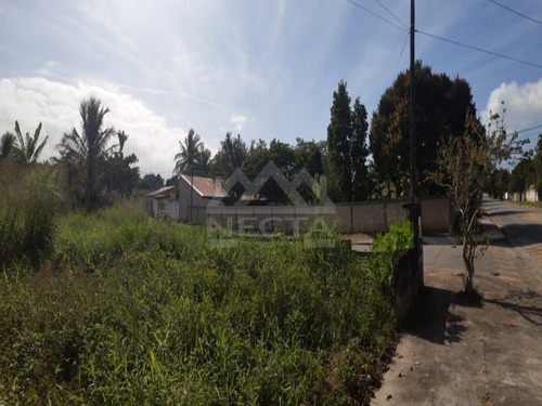 Imagem 5 de 6 de Terreno À Venda, 378 M², Porto Novo, Caraguatatuba/sp. - Te00543 - 69850633